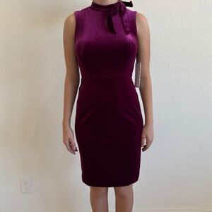 NWT Calvin Klein Women's Velvet  Dress, Size 4, Purple, cocktail